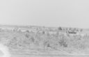 3-21-2015_9-47-23_006.jpg