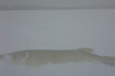 IMG00014.JPG