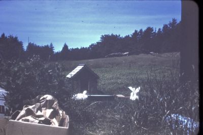 IMG00053.JPG