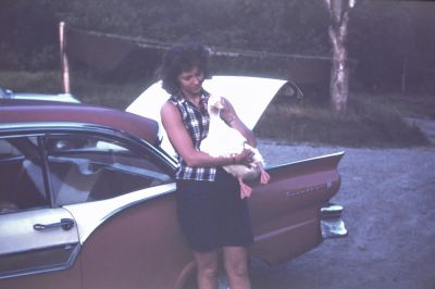 IMG00056.JPG