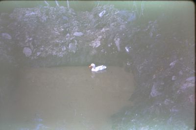 IMG00067.JPG