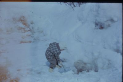IMG00110.JPG