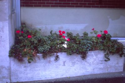 IMG00124.JPG