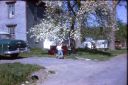IMG00089.JPG
