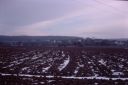 IMG00073_28Custom29.JPG