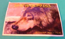 shewolf.jpg (44170 bytes)